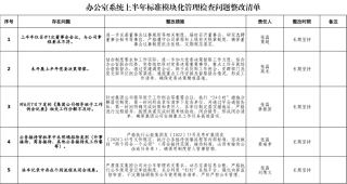 2025办公室系统上半年标准模块化管理检查问题整改清单