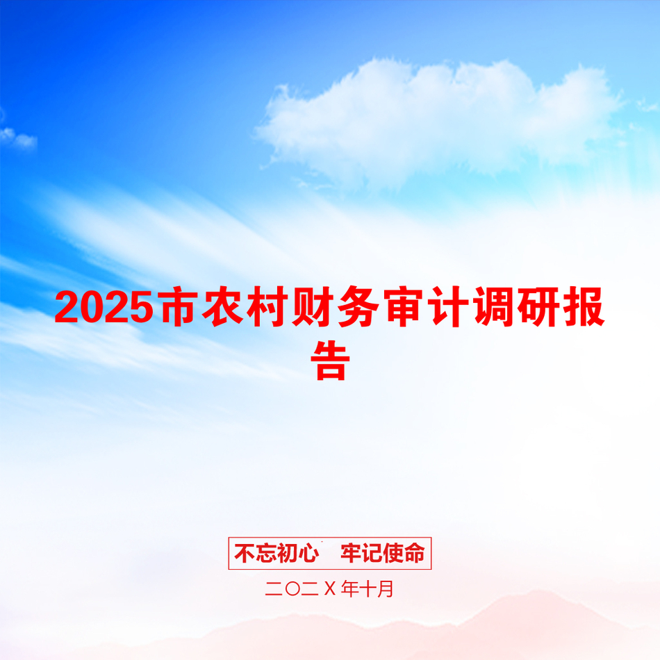 2025市农村财务审计调研报告_第1页