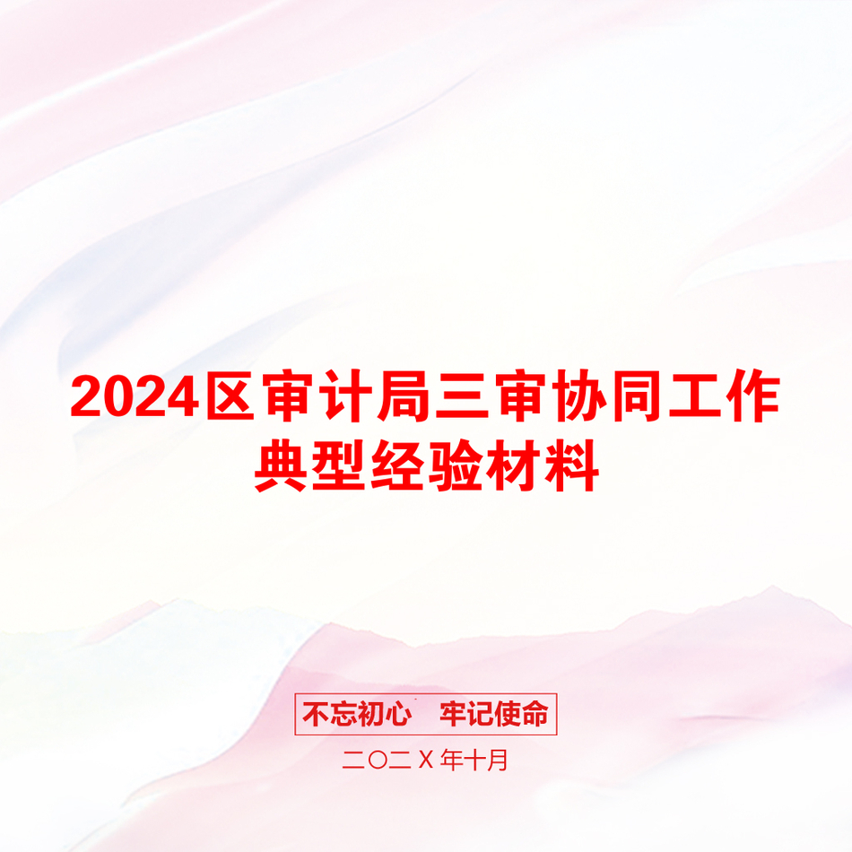 2024区审计局三审协同工作典型经验材料_第1页