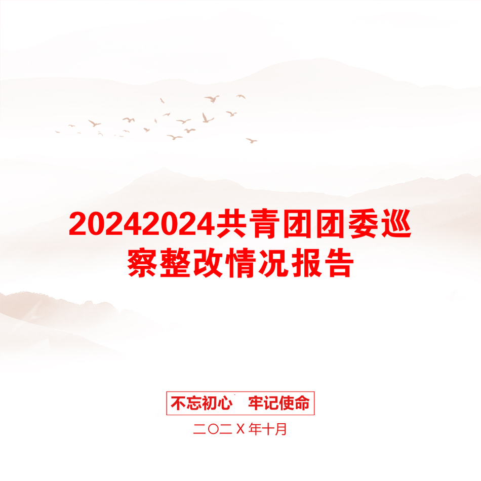 20242024共青团团委巡察整改情况报告_第1页