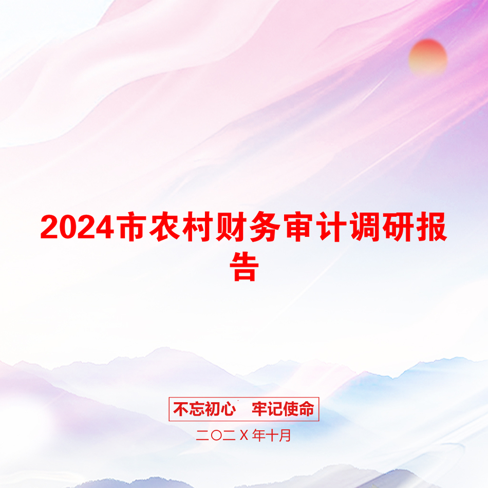 2024市农村财务审计调研报告_第1页