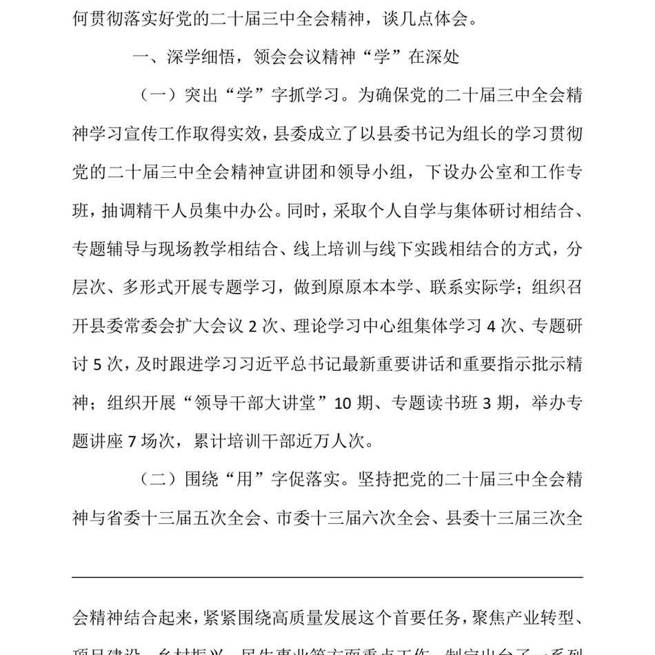 2024学习贯彻党的二十届三中全会精神研讨会发言（24年12月）_第3页