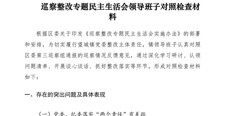 巡察整改专题民主生活会领导班子对照检查材料_第2页