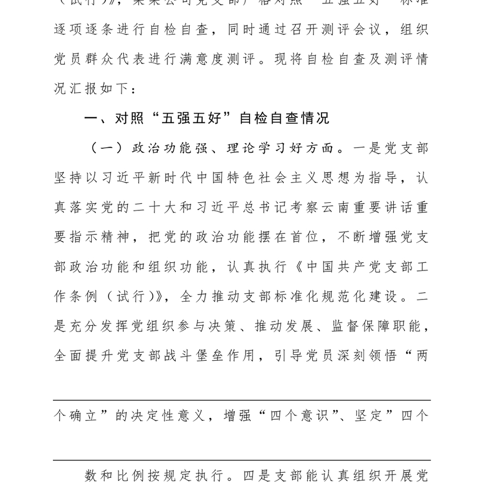 2024公司党支部关于开展红旗党支部、规范化建设示范党支部创建回头看工作自评的报告_第3页