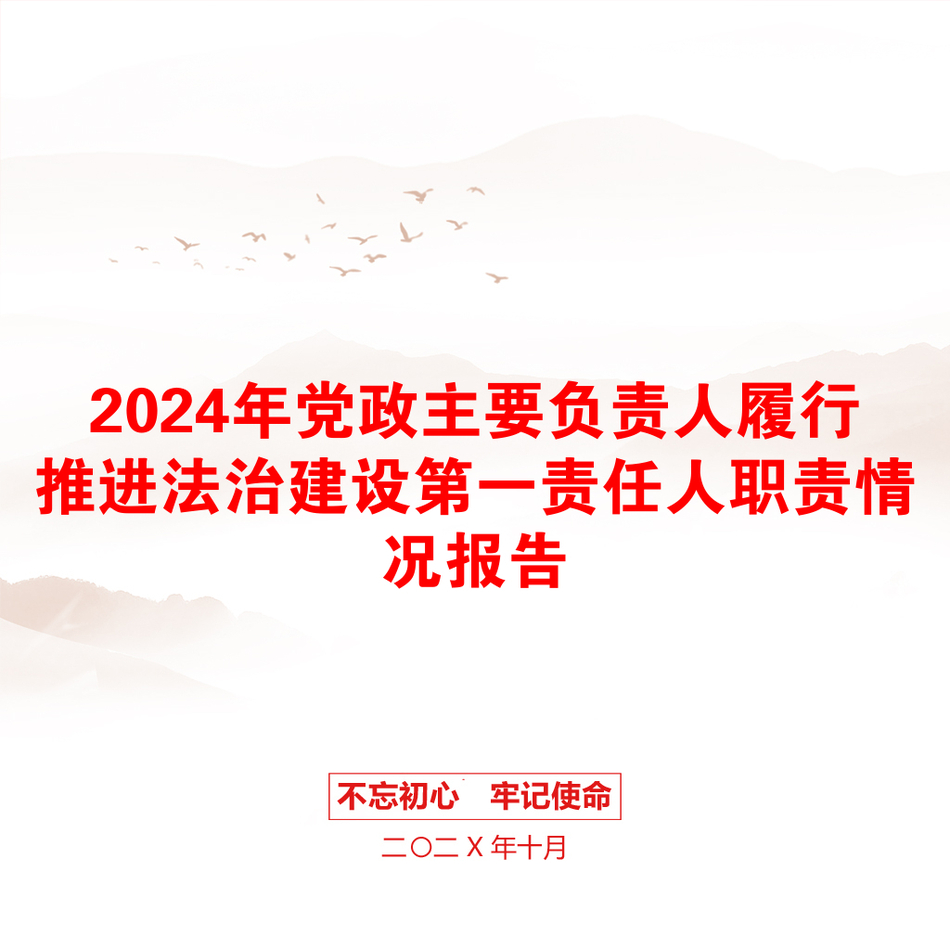 2024年党政主要负责人履行推进法治建设第一责任人职责情况报告_第1页