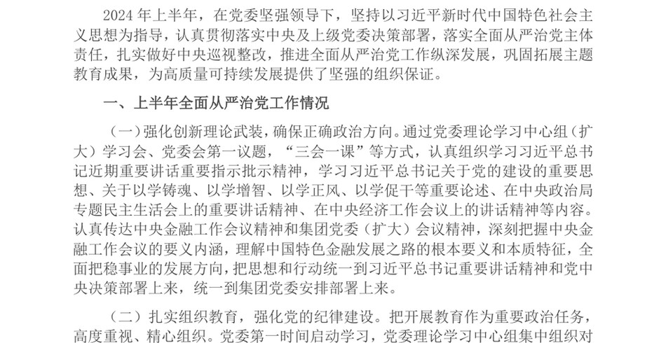 2024上半年全面从严治党工作情况报告_第2页