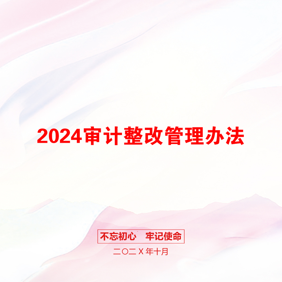 2024审计整改管理办法_第1页