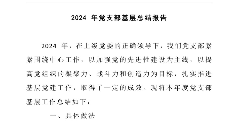 2024党支部基层总结报告(1)_第2页