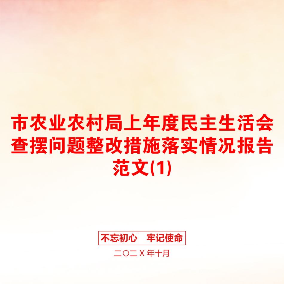 市农业农村局上年度民主生活会查摆问题整改措施落实情况报告范文(1)_第1页