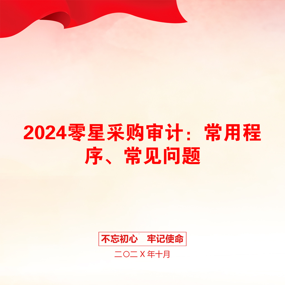 2024零星采购审计：常用程序、常见问题_第1页