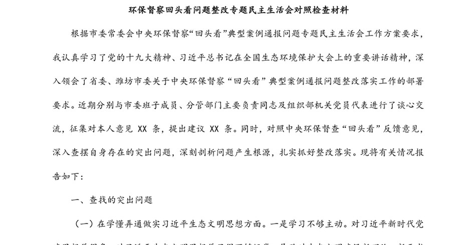 环保督察回头看问题整改专题民主生活会对照检查材料_第2页