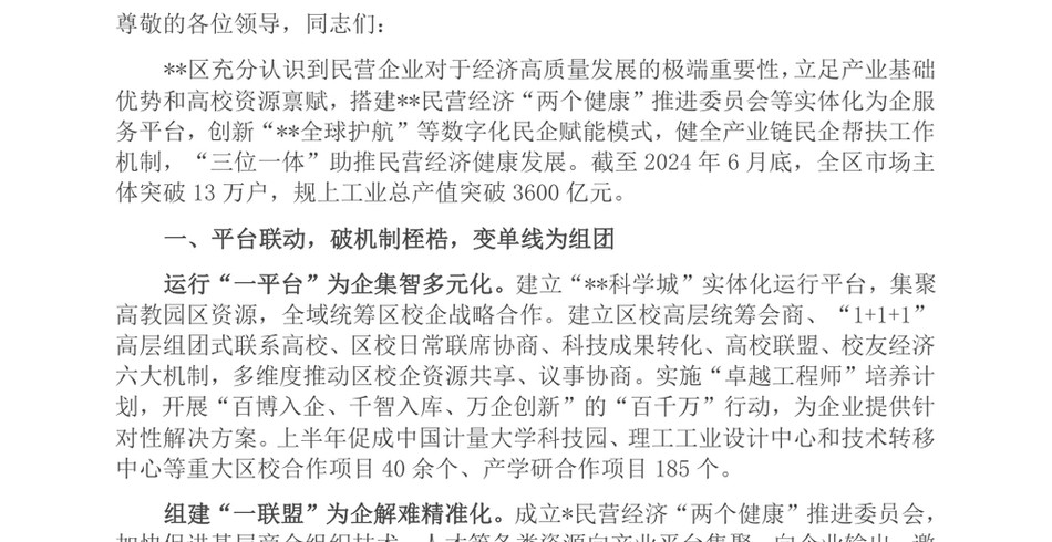 2024在全市民营经济高质量发展座谈会上的汇报发言_第2页