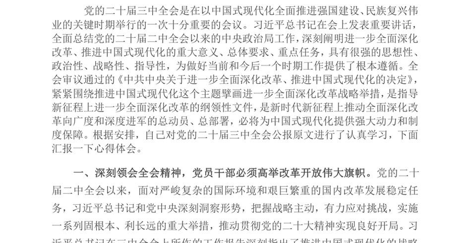 2024发改委干部学习二十届三中全会精神交流发言_第2页