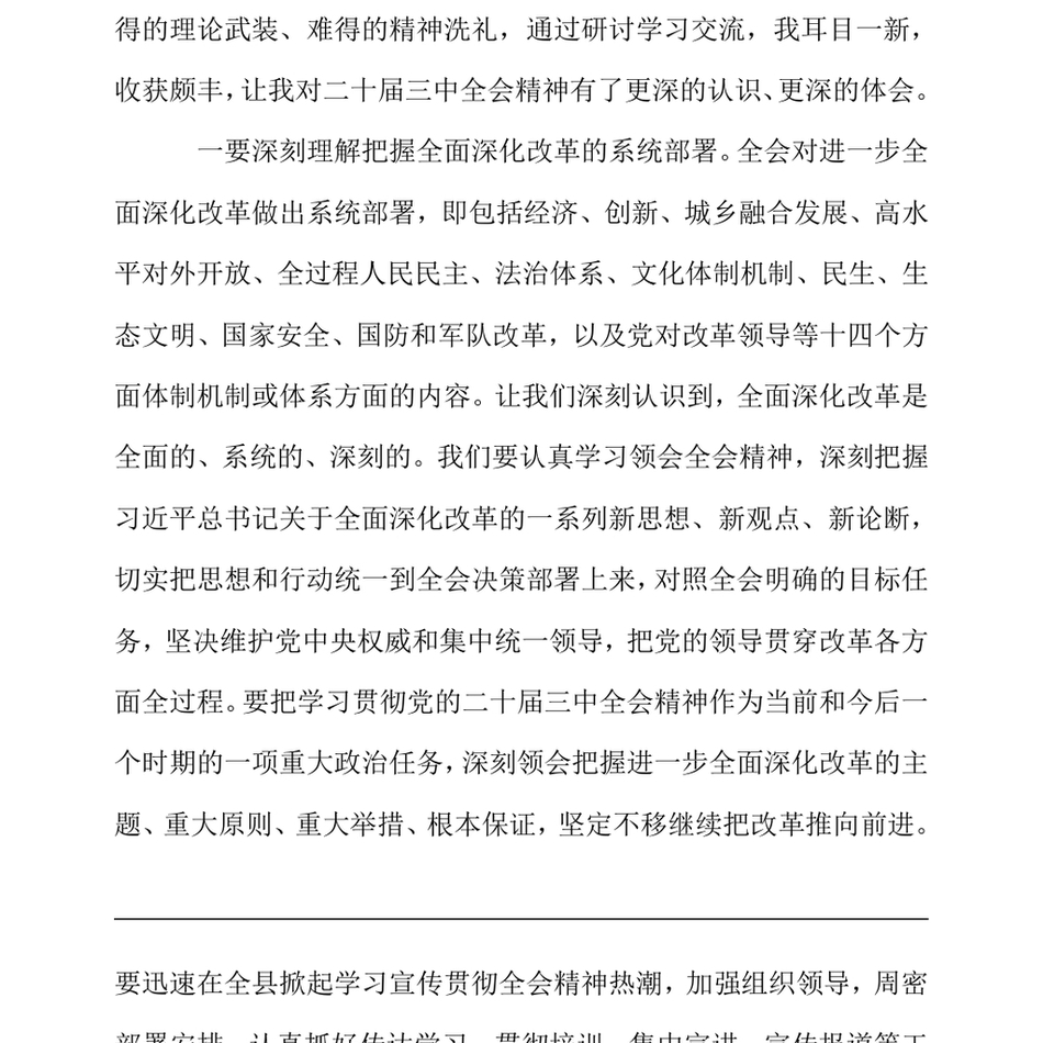 2024理论中心组学习党的二十届三中全会精神的研讨发言材料（24年12月）_第3页