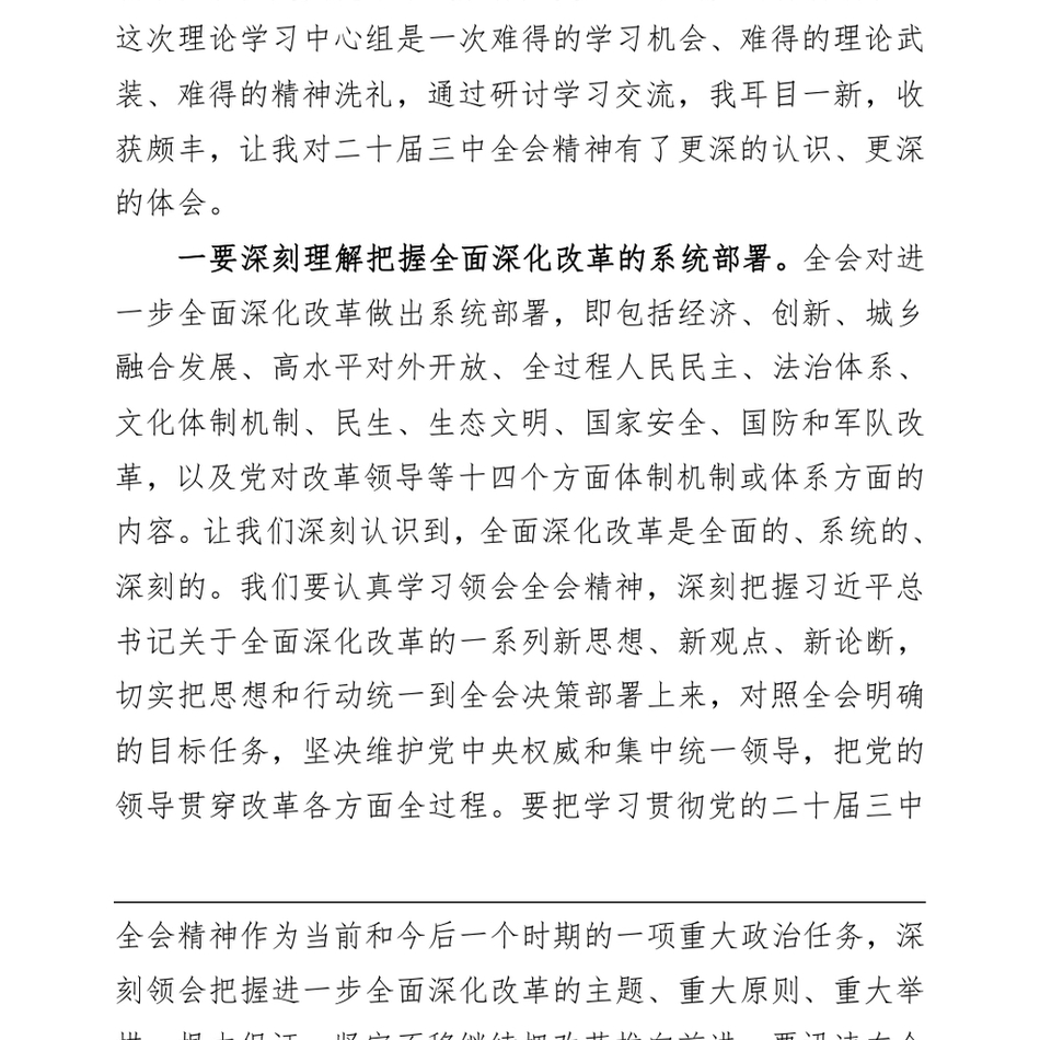 2024理论中心组学习党的二十届三中全会精神的研讨发言材料（24年12月23日）_第3页