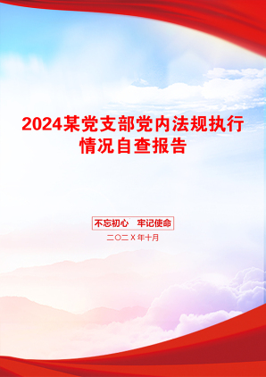 2024某党支部党内法规执行情况自查报告