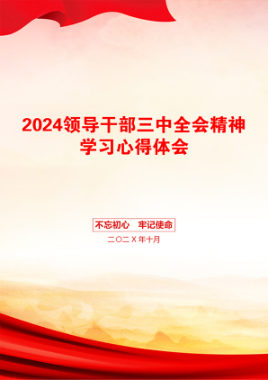 2024领导干部三中全会精神学习心得体会