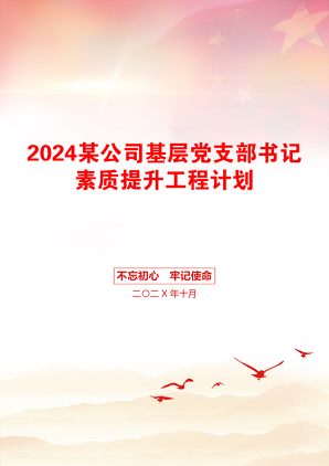 2024某公司基层党支部书记素质提升工程计划