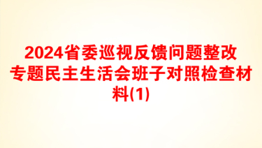 2024省委巡视反馈问题整改专题民主生活会班子对照检查材料(1)