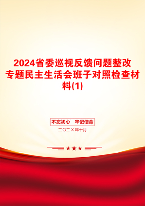 2024省委巡视反馈问题整改专题民主生活会班子对照检查材料(1)