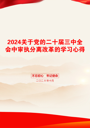 2024关于党的二十届三中全会中审执分离改革的学习心得