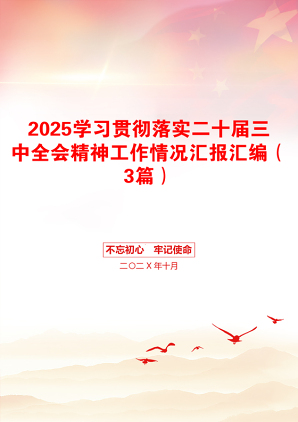 2025学习贯彻落实二十届三中全会精神工作情况汇报汇编（3篇）