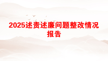 2025述责述廉问题整改情况报告