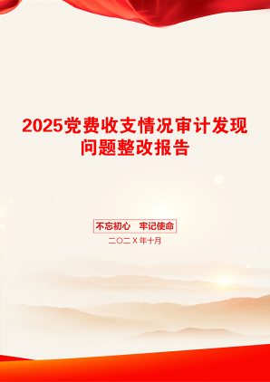 2025党费收支情况审计发现问题整改报告