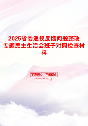 2025省委巡视反馈问题整改专题民主生活会班子对照检查材料