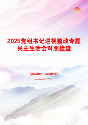 2025党组书记巡视整改专题民主生活会对照检查