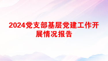 2024党支部基层党建工作开展情况报告