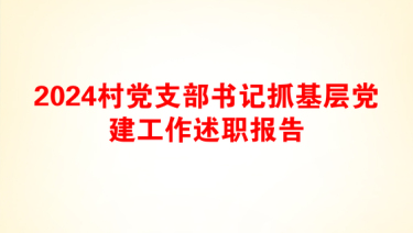 2024村党支部书记抓基层党建工作述职报告