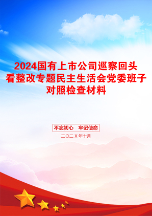 2024国有上市公司巡察回头看整改专题民主生活会党委班子对照检查材料