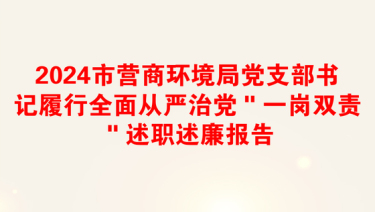 2024市营商环境局党支部书记履行全面从严治党＂一岗双责＂述职述廉报告