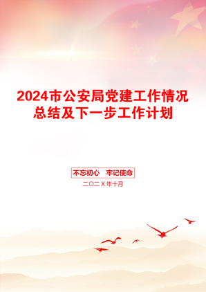 2024市公安局党建工作情况总结及下一步工作计划