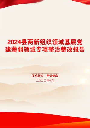 2024县两新组织领域基层党建薄弱领域专项整治整改报告