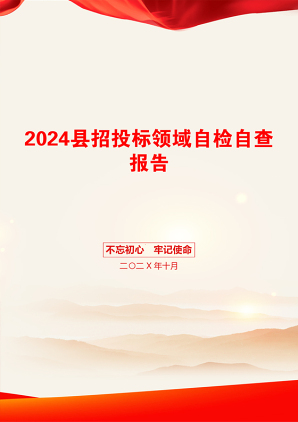 2024县招投标领域自检自查报告