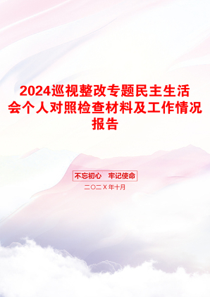 2024巡视整改专题民主生活会个人对照检查材料及工作情况报告