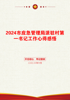 2024市应急管理局派驻村第一书记工作心得感悟