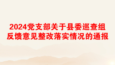 2024党支部关于县委巡查组反馈意见整改落实情况的通报