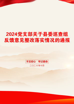 2024党支部关于县委巡查组反馈意见整改落实情况的通报