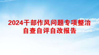 2025作风建设整改报告