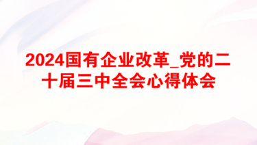 2024国有企业改革_党的二十届三中全会心得体会