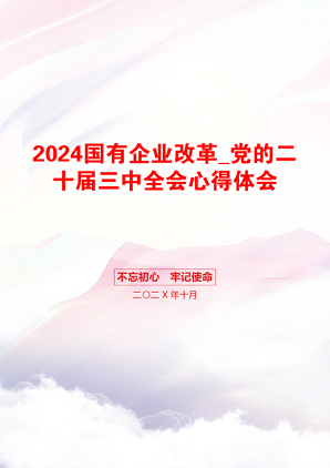 2024国有企业改革_党的二十届三中全会心得体会