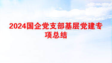 2024国企党支部基层党建专项总结