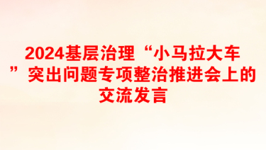 2024基层治理“小马拉大车”突出问题专项整治推进会上的交流发言