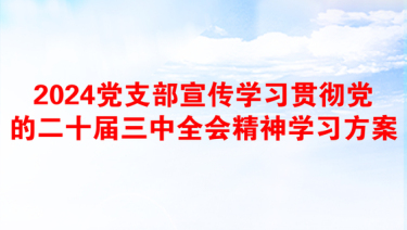 2024党支部宣传学习贯彻党的二十届三中全会精神学习方案