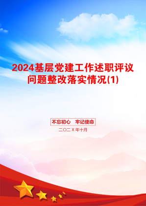 2024基层党建工作述职评议问题整改落实情况(1)