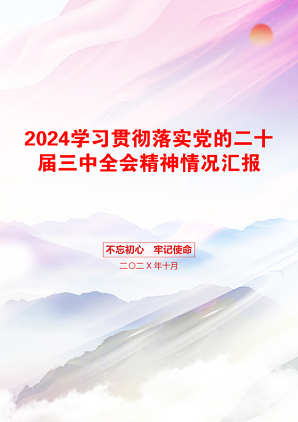 2024学习贯彻落实党的二十届三中全会精神情况汇报