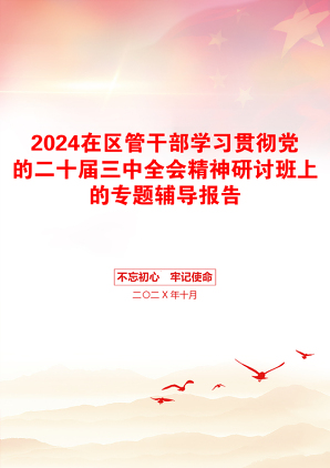 2024在区管干部学习贯彻党的二十届三中全会精神研讨班上的专题辅导报告